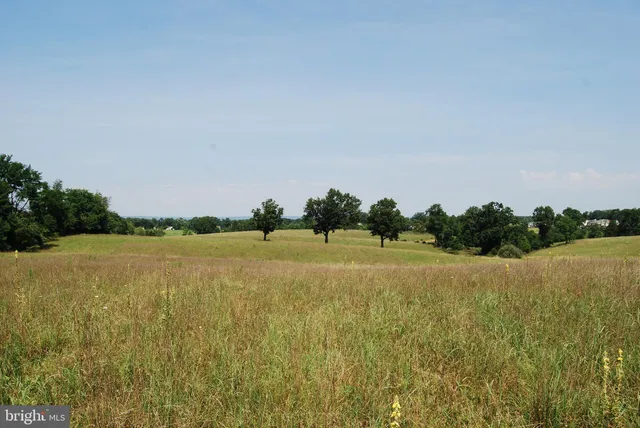 a view of outdoor space and yard