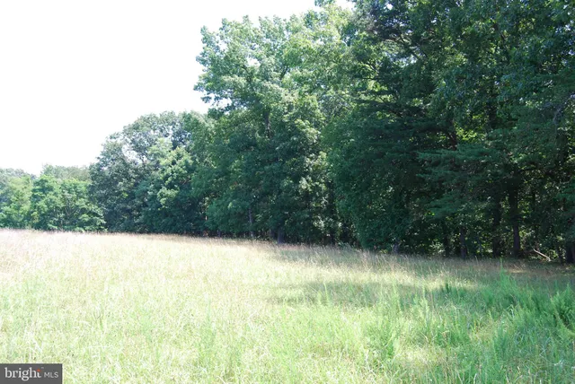 a view of outdoor space and green space