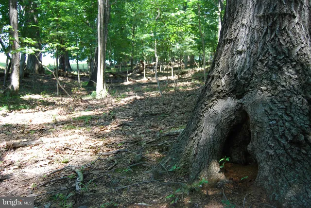a view of a lake view