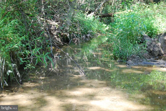 a view of ocean view