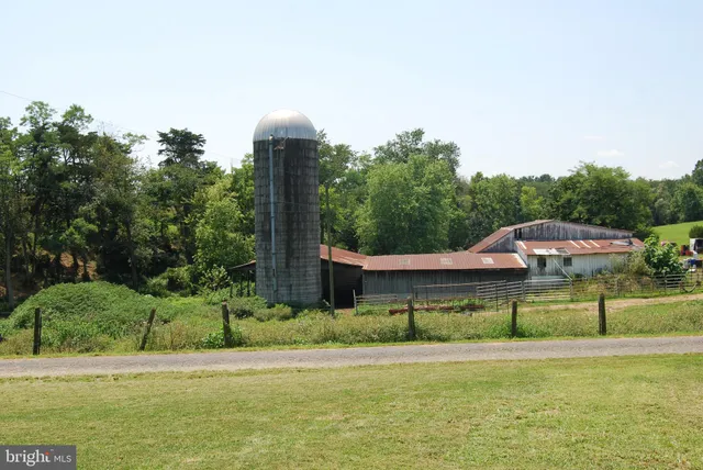 a view of a house with a yard and a large tree center