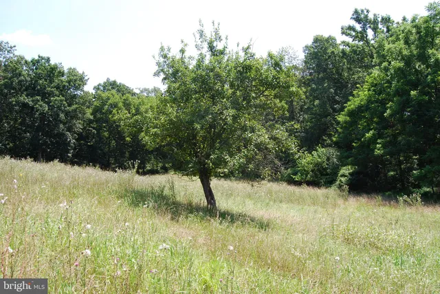 a view of swimming pool with a yard and furniture