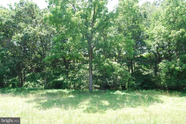 a view of a backyard of the house