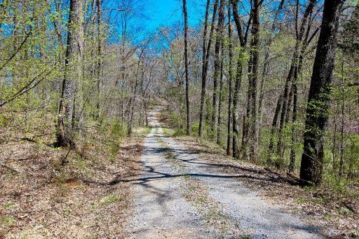 1704 Fairfax Road Newport, TN 37821 - Photo 30 of 40 Additional Photo