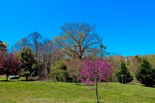 1704 Fairfax Road Newport, TN 37821 - Photo 32 of 40 Additional Photo
