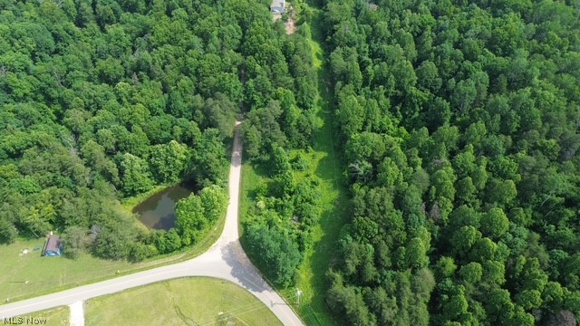 0 East Side Hayman Road Long Bottom, OH 45743 - Photo 2 of 14