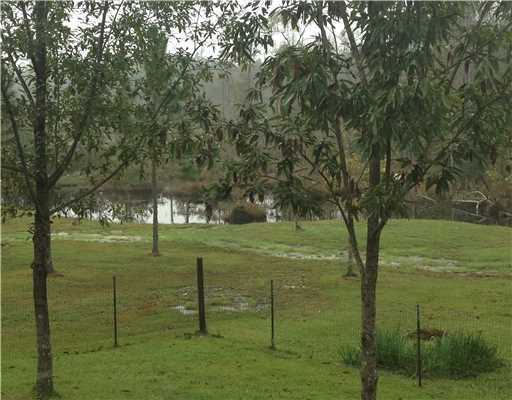 12876 Indian Springs Road Picayune, MS 39466 - Photo 22 of 25 Additional Photo