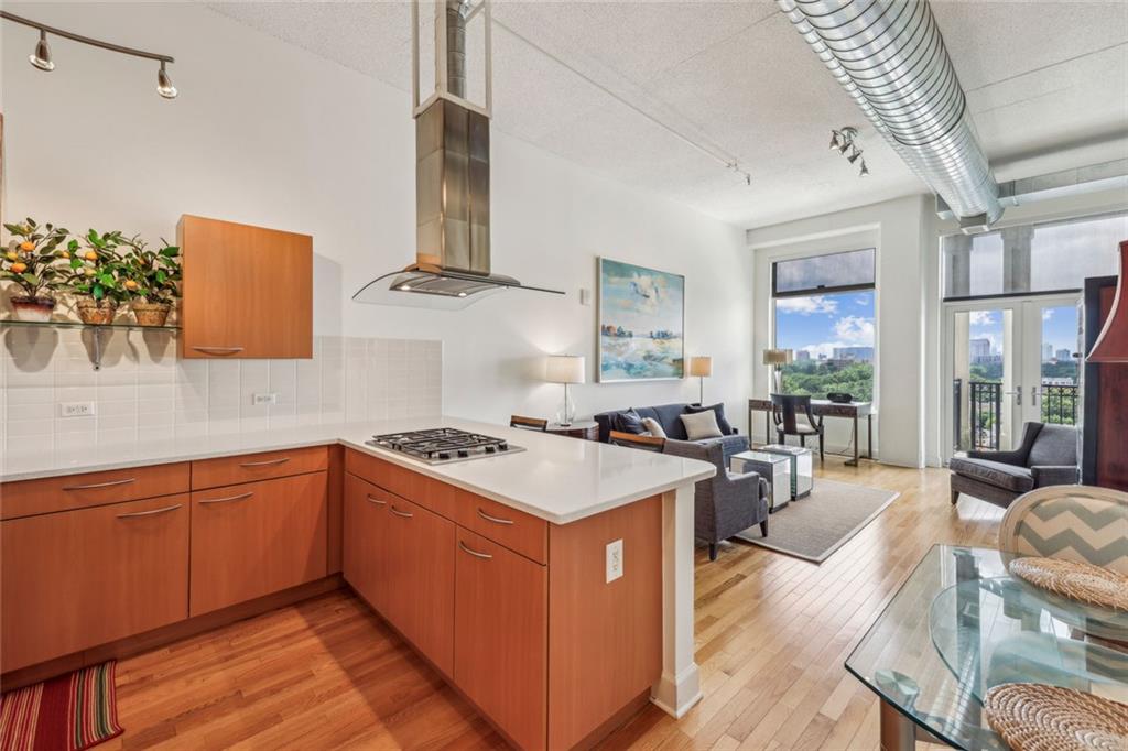 3820 Roswell Road Northeast, Unit 1004 Atlanta, GA 30342 - Photo 5 of 28