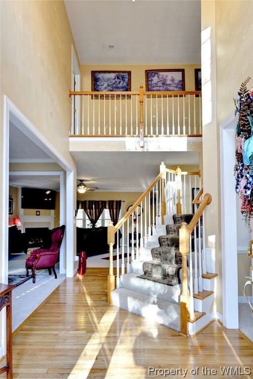511 Berry Ridge Lane Suffolk, VA 23435 - Photo 3 of 38 Gallery Image 3