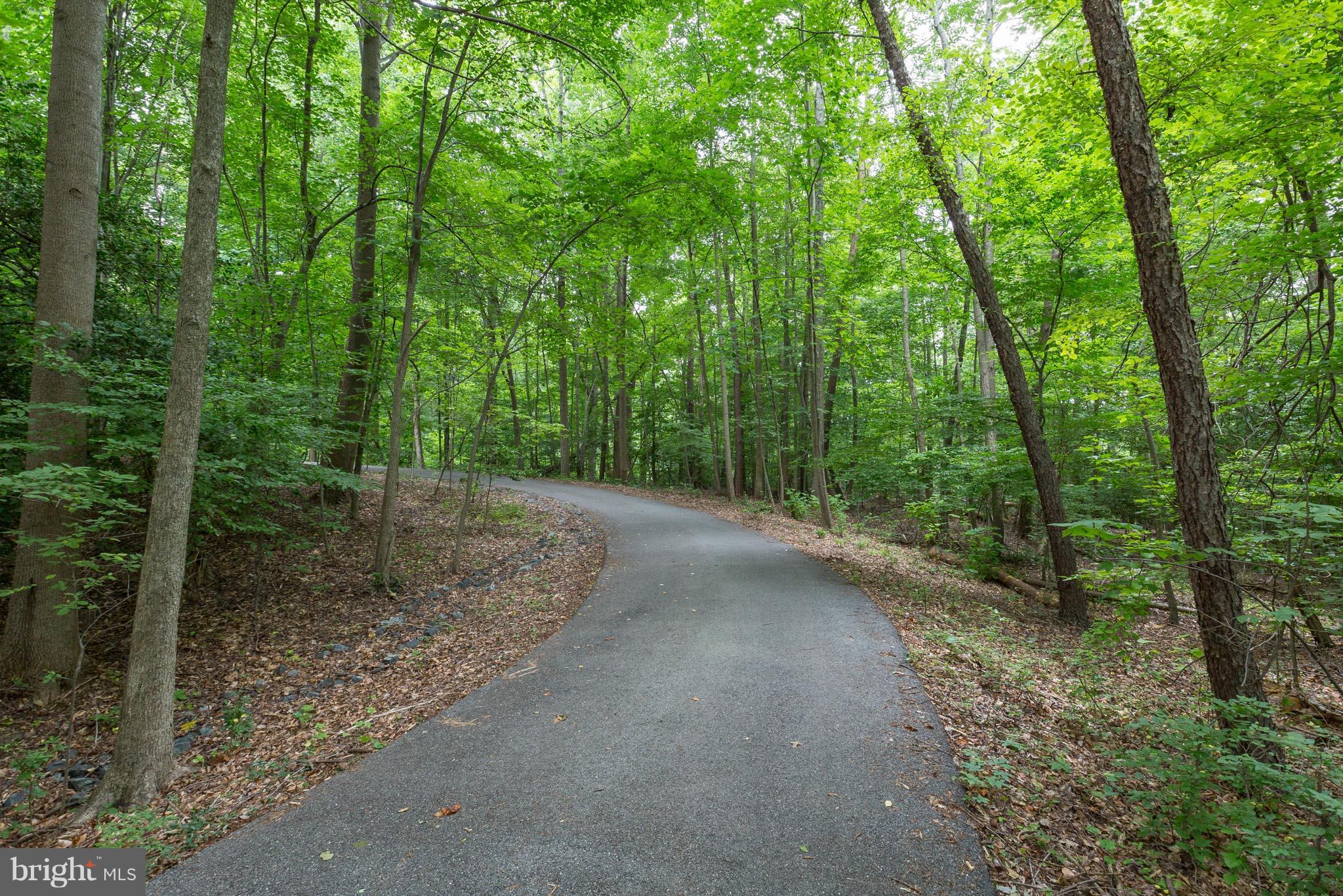 7021 Flint Hill Road Owings, MD 20736 - Photo 3 of 27 Private driveway