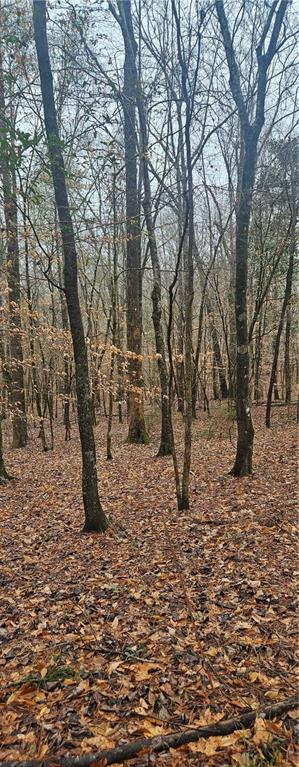 37 Quarles Road Pittsview, AL 36871 - Photo 13 of 23 View of undeveloped land