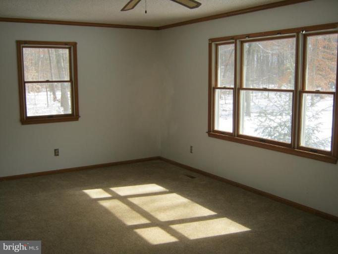 Living Room #2