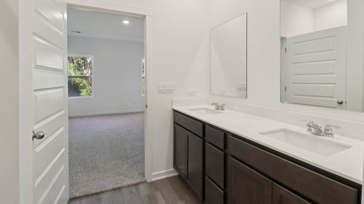 1107 Bluebell Lane Bartlett, IL 60103 - Photo 19 of 19 a bathroom with a sink and a mirror