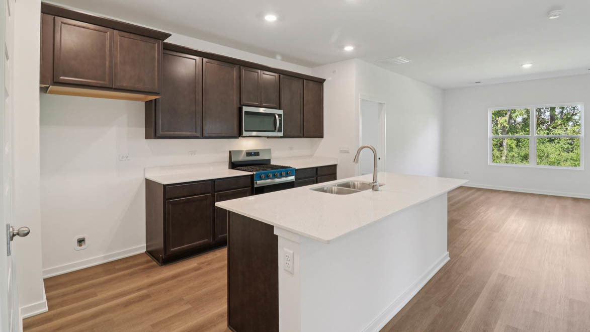 1107 Bluebell Lane Bartlett, IL 60103 - Photo 5 of 19 a kitchen with a sink cabinets and wooden floor