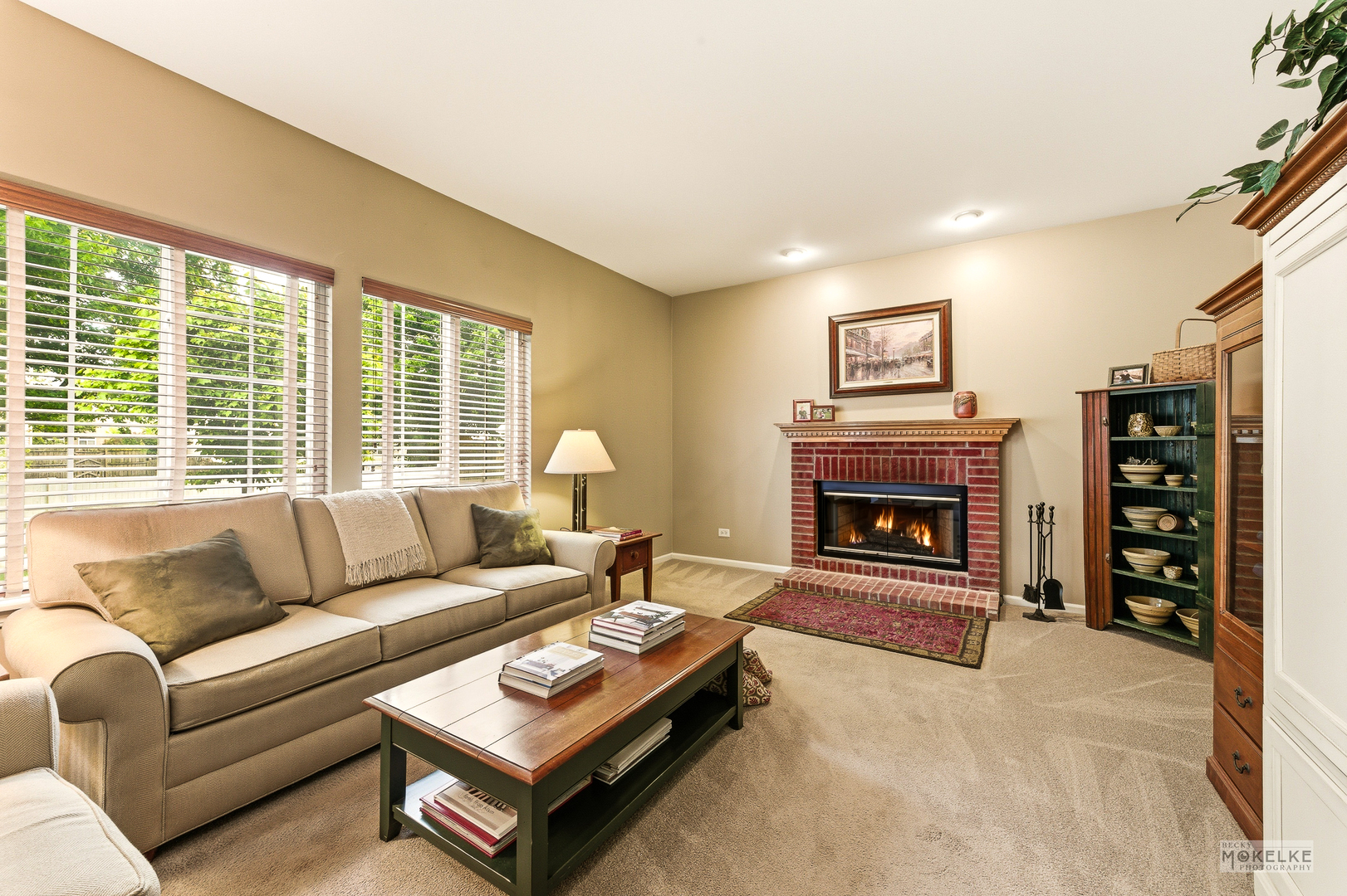 6102 Pheasant Ridge Drive Plainfield, IL 60586 - Photo 23 of 43