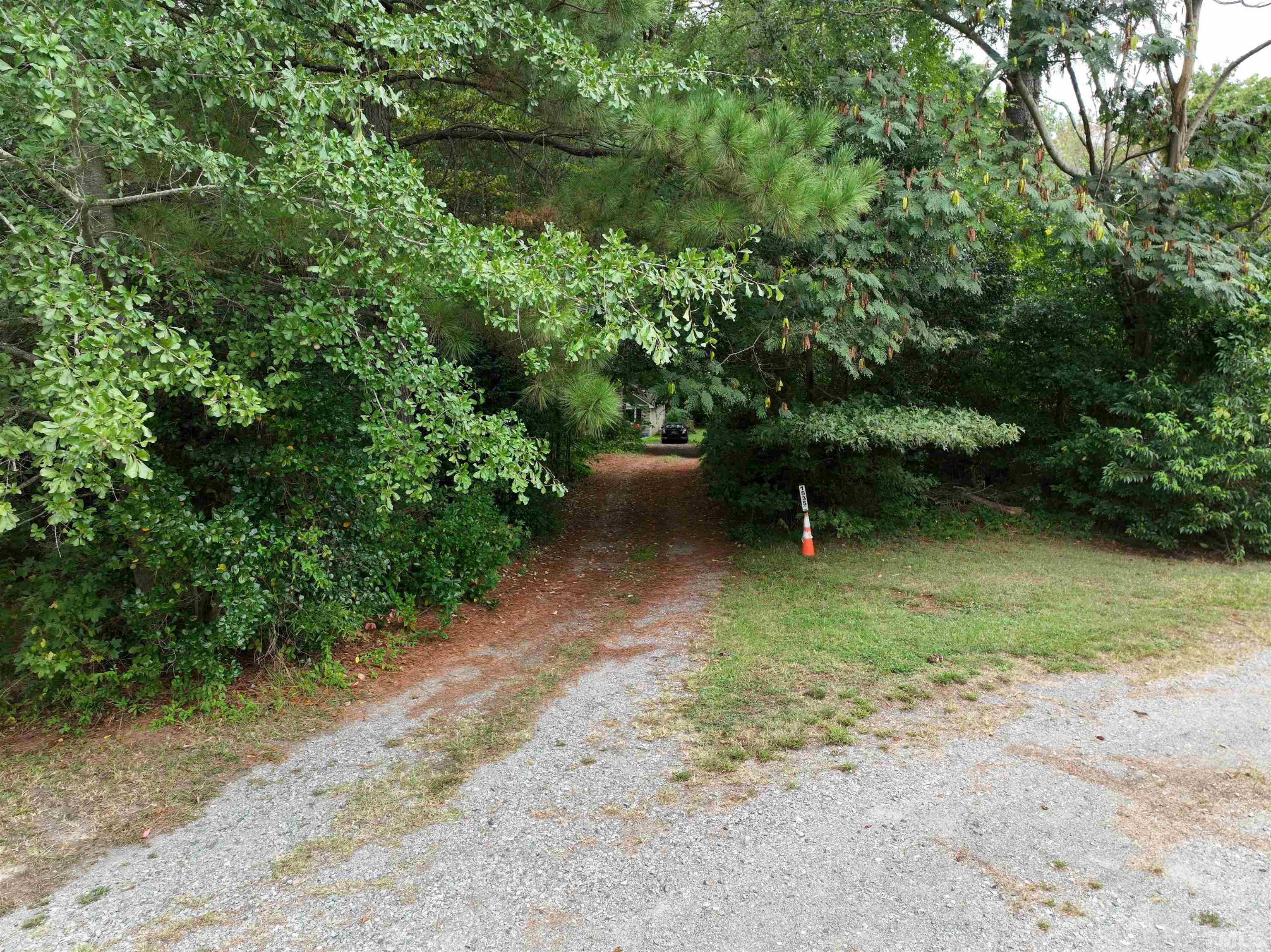 1539 Deep River Road Sanford, NC 27330 - Photo 6 of 34 a view of a backyard with plants and a tree