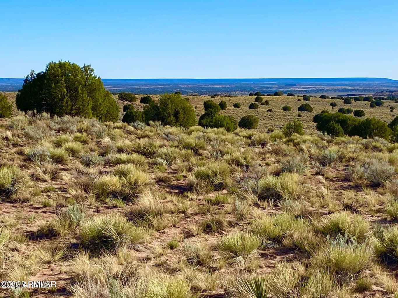 River River Meadows Ranch Concho, AZ 85924 - Photo 13 of 16 20260713061218198872000000-o (1)