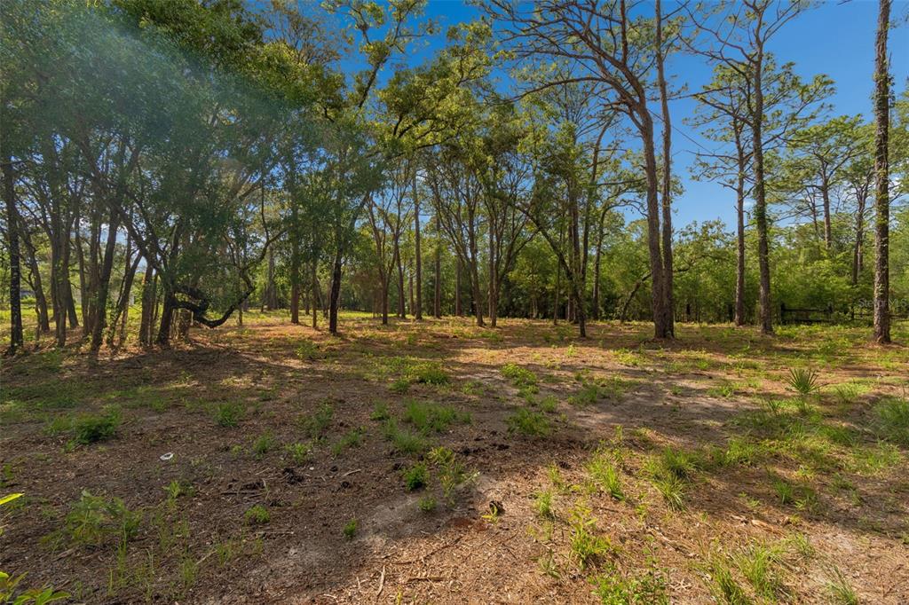 Grove Road Brooksville, FL 34613 - Photo 6 of 26