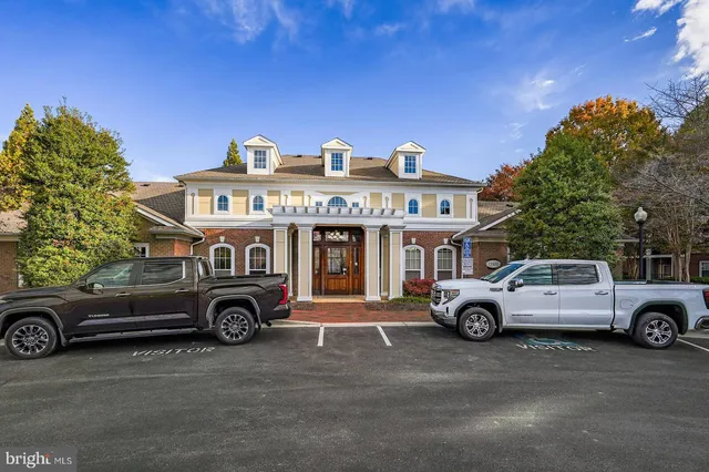 a view of road with large trees