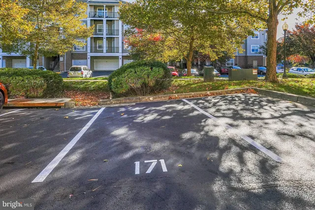 a living room with furniture a bookshelf and a book shelf