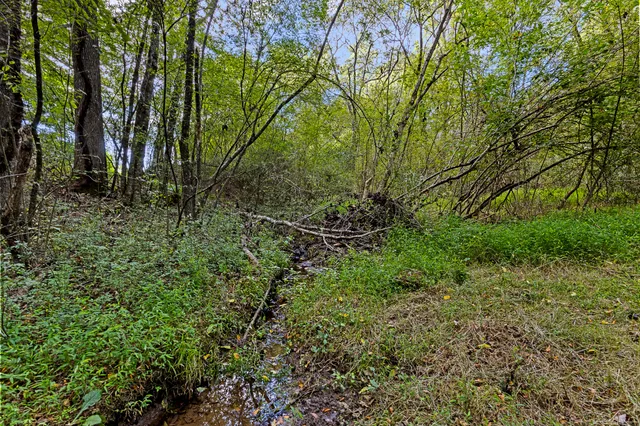 $250,000 | 1146 Manning Mill Road, Summerville, GA 30747