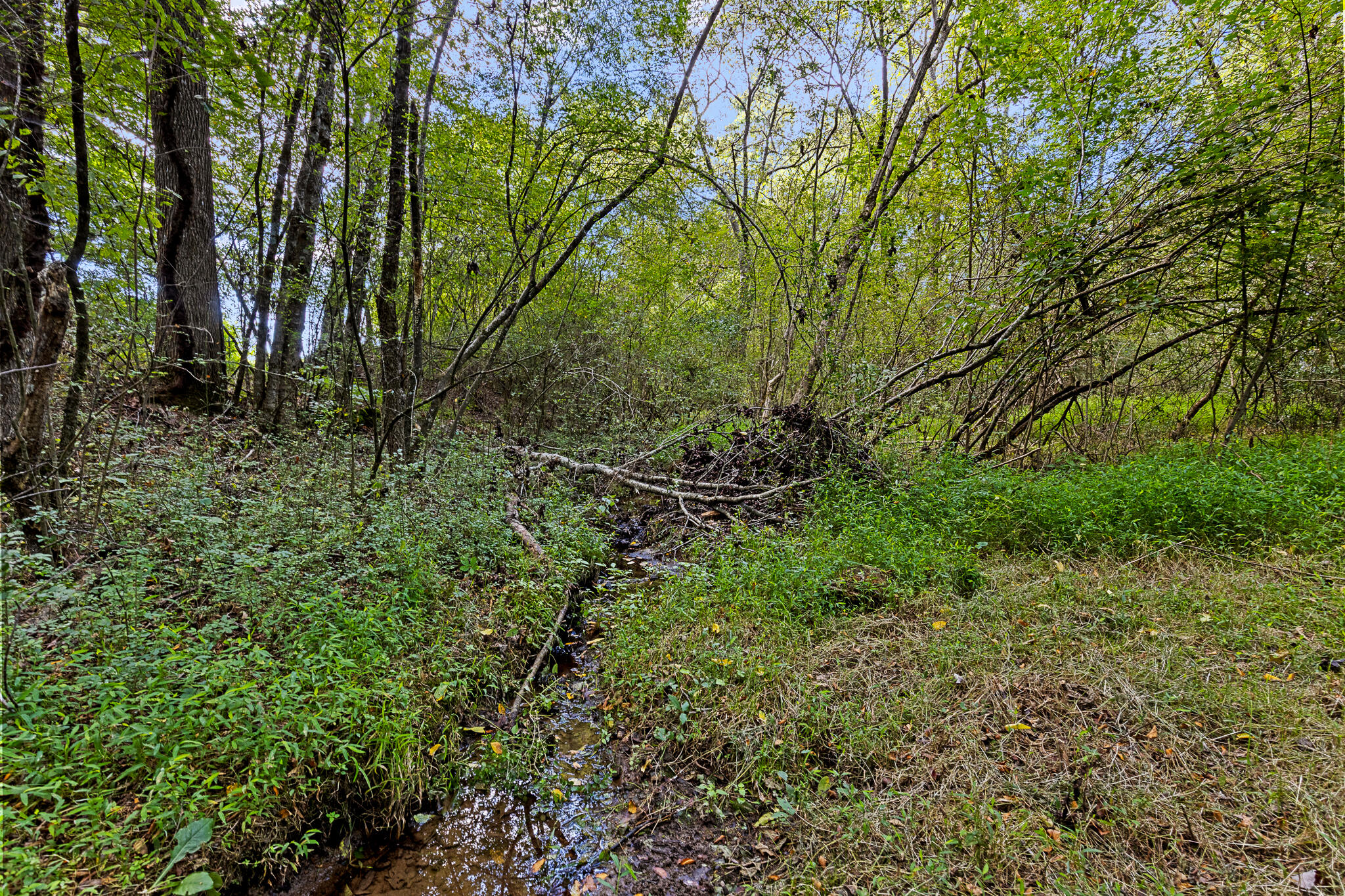 1146 Manning Mill Road Summerville, GA 30747 - Photo 6 of 66 manningmill-1