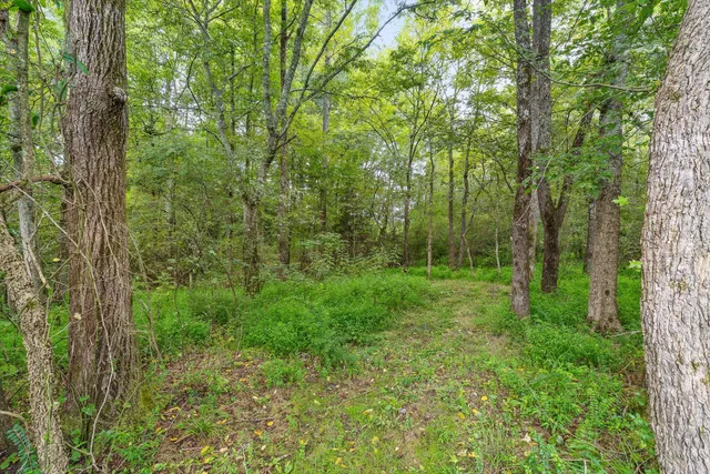 $250,000 | 1146 Manning Mill Road, Summerville, GA 30747