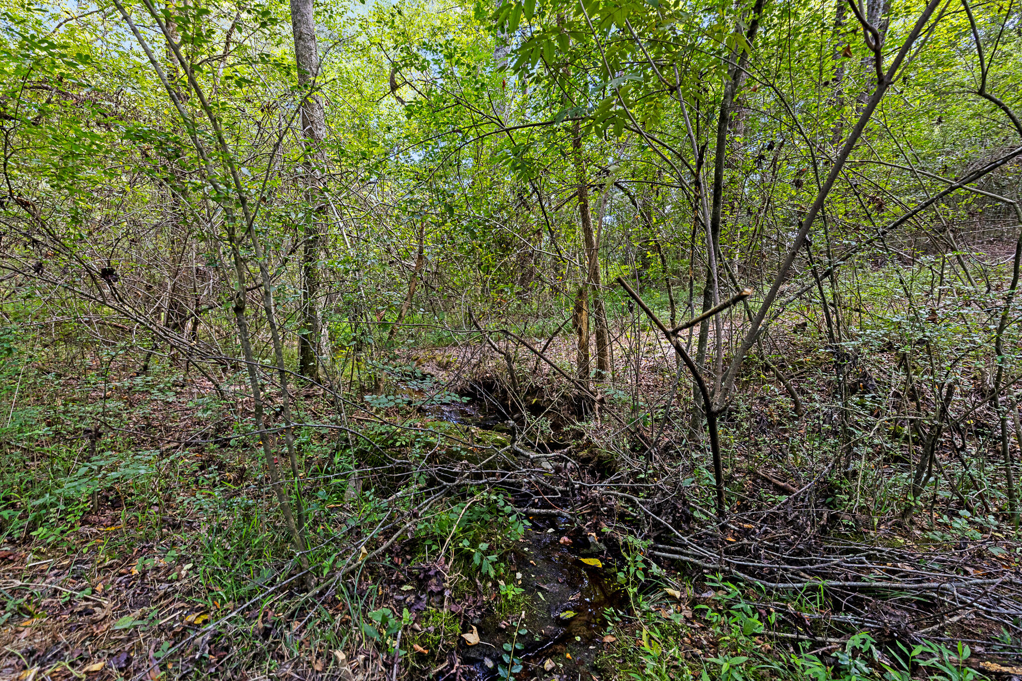 1146 Manning Mill Road Summerville, GA 30747 - Photo 65 of 66 manningmill-3