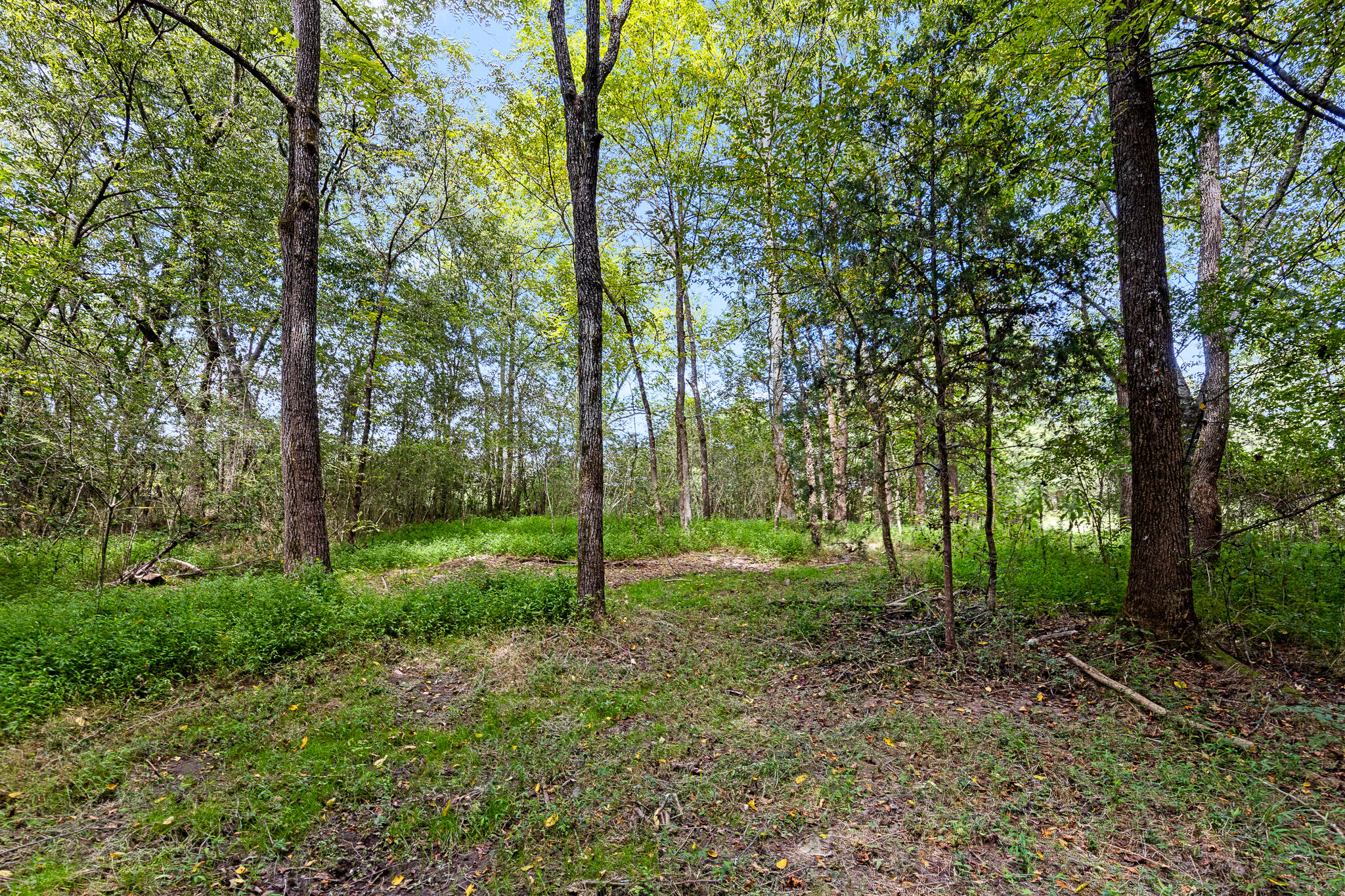 1146 Manning Mill Road Summerville, GA 30747 - Photo 66 of 66 manningmill-2