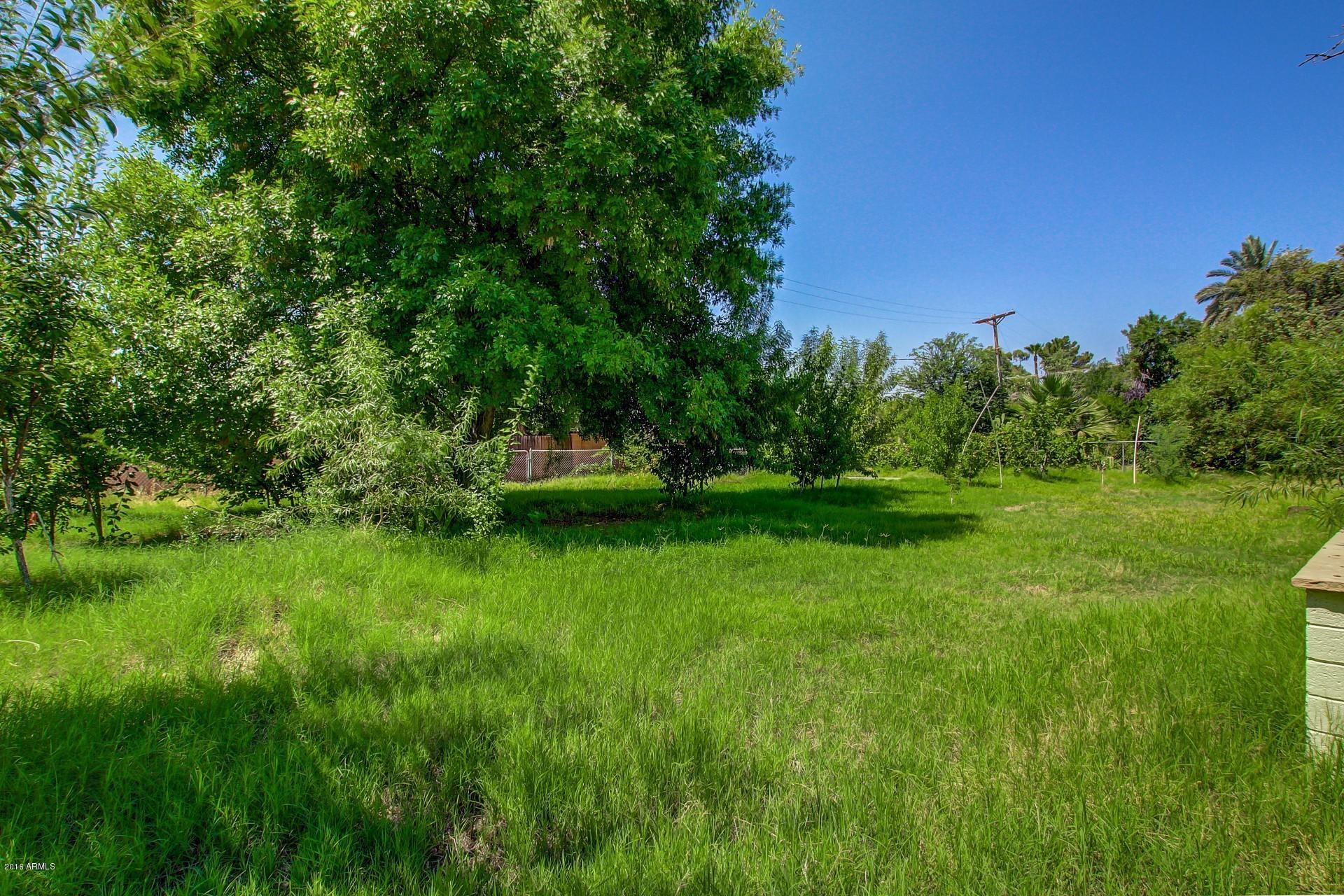 5415 East Osborn Road Phoenix, AZ 85018 - Photo 15 of 18 15