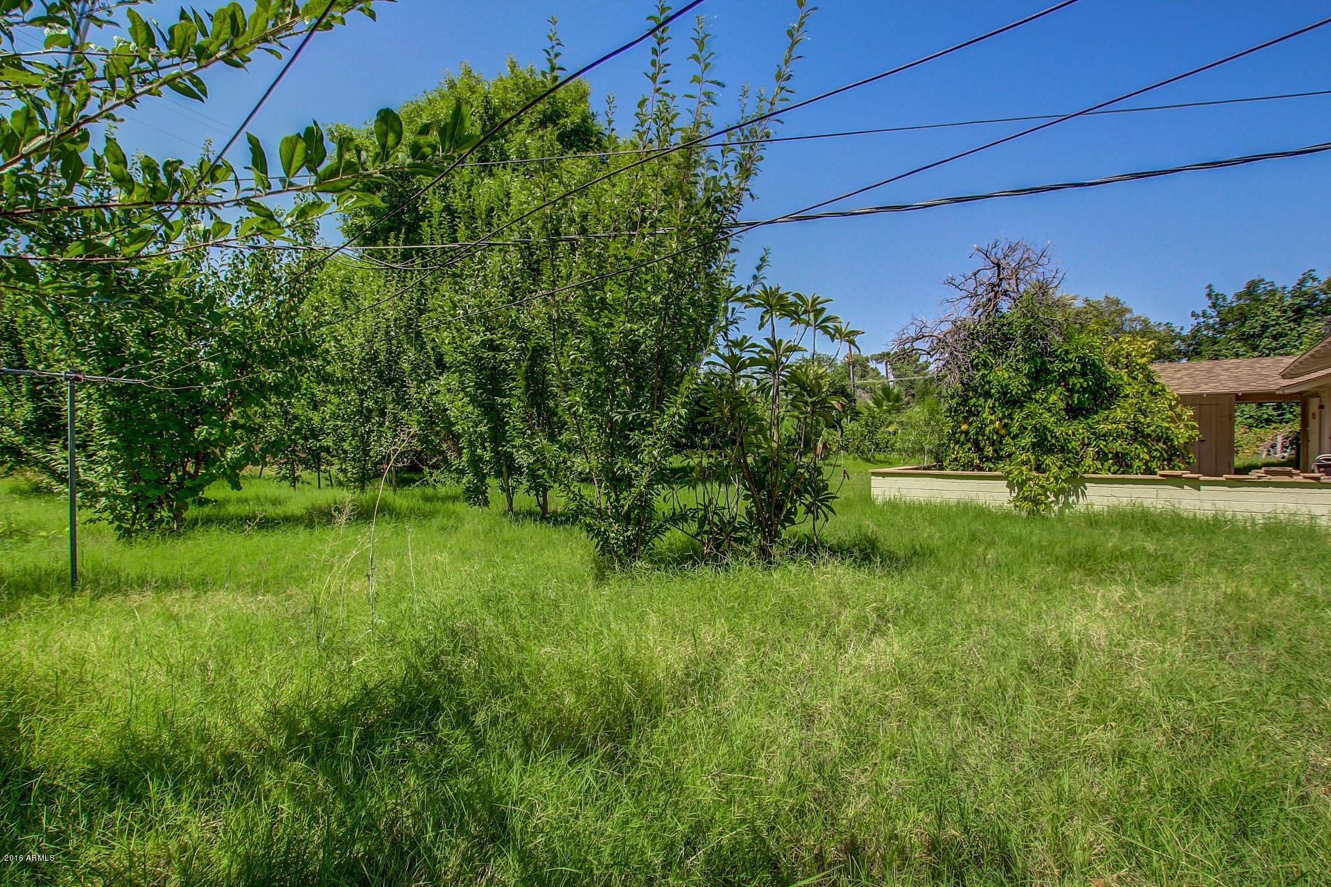 5415 East Osborn Road Phoenix, AZ 85018 - Photo 9 of 18 12