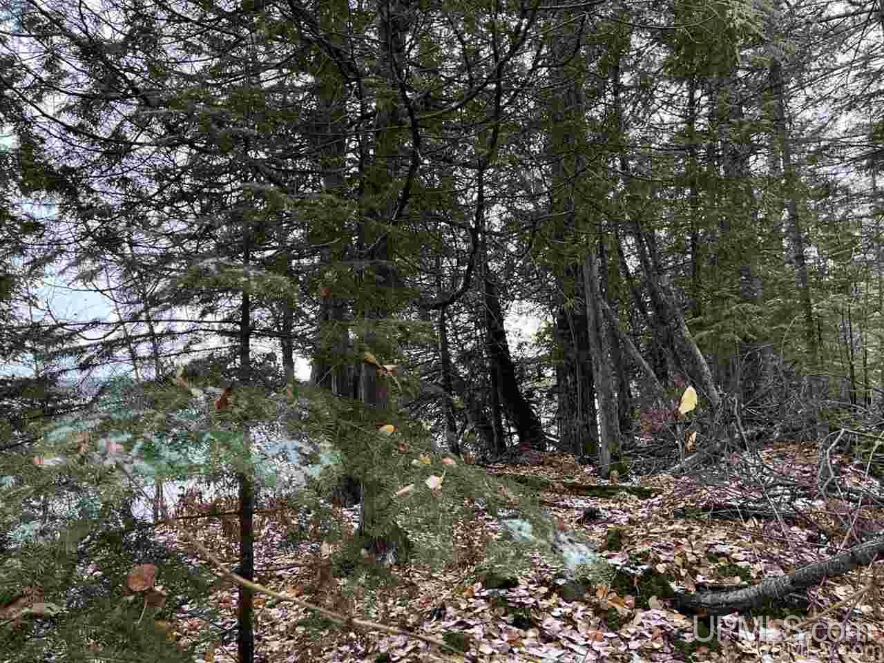 Parcel 7 R Liimatainen Road Lanse, MI 49946 - Photo 2 of 6 Gallery Image 2
