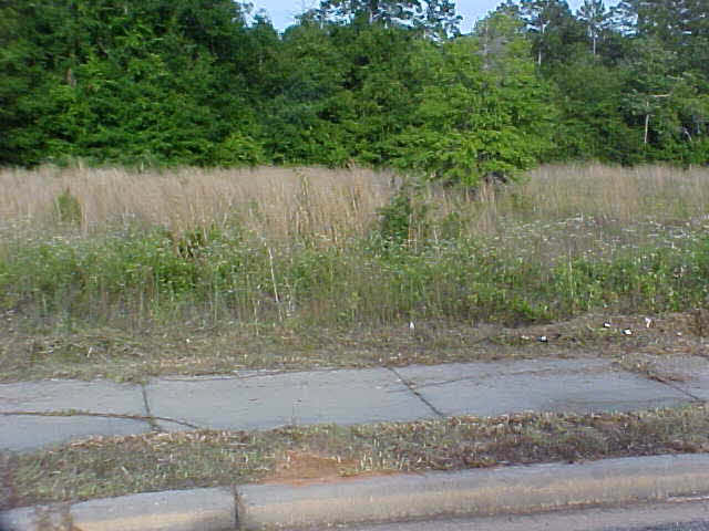 0 Alamo Circle Foley, AL 36535 - Photo 1 of 1