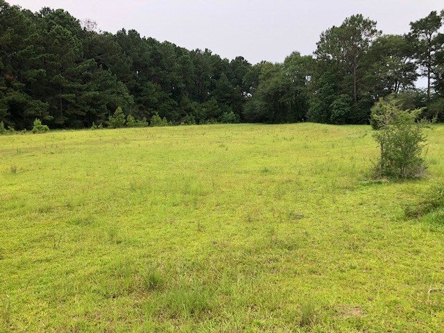 12-ac Race Track Road Florala, AL 36442 - Photo 3 of 14 Gallery Image 3