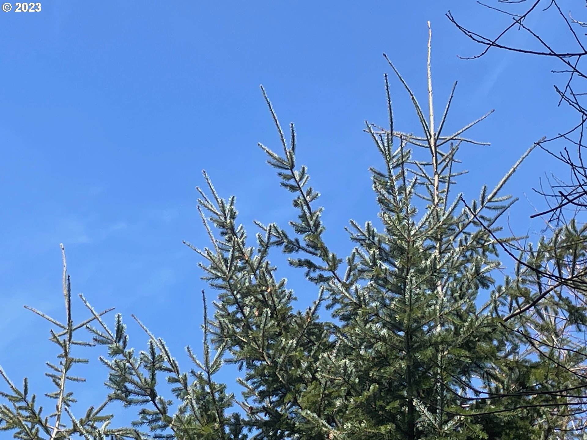 Smoke Ranch Road Scappoose, OR 97056 - Photo 12 of 16