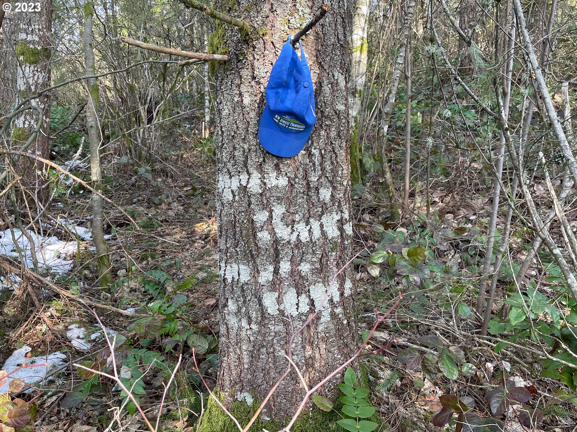 Smoke Ranch Road Scappoose, OR 97056 - Photo 15 of 16