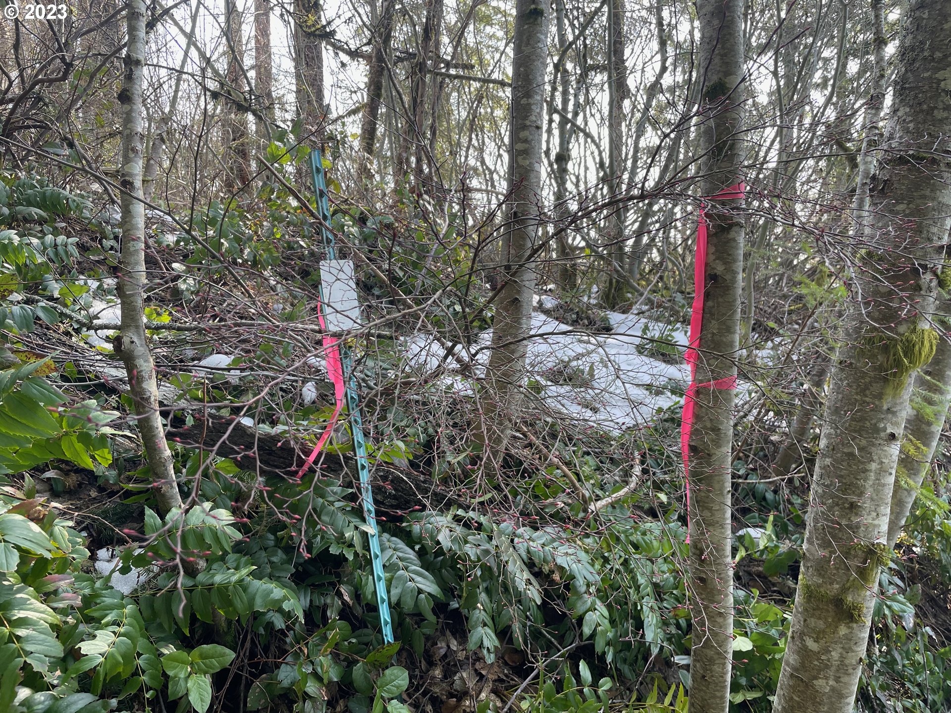 Smoke Ranch Road Scappoose, OR 97056 - Photo 16 of 16