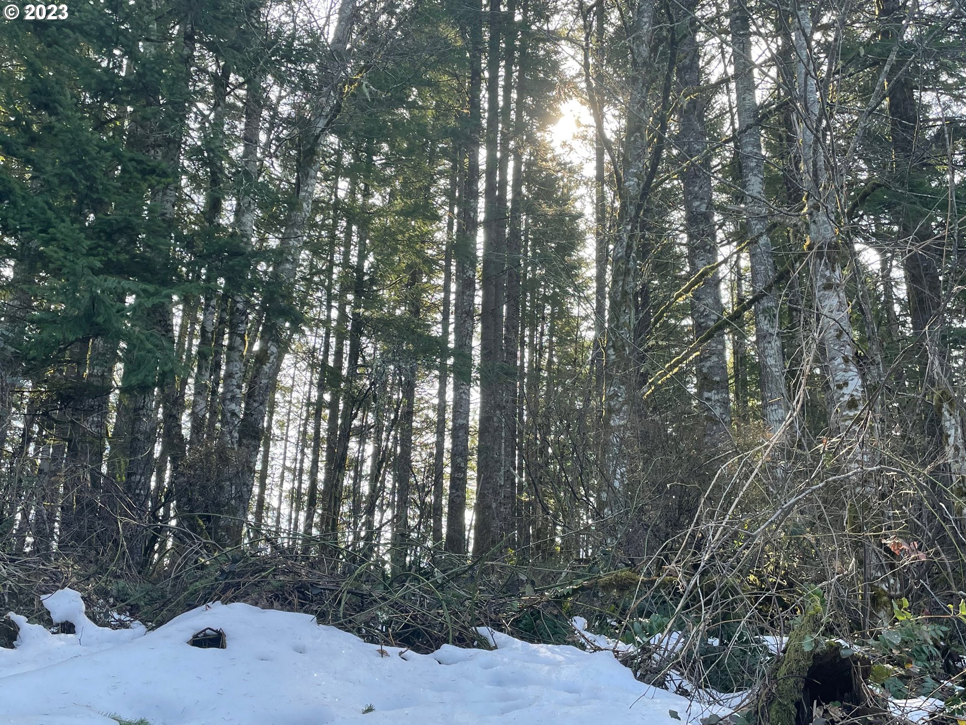 Smoke Ranch Road Scappoose, OR 97056 - Photo 2 of 16