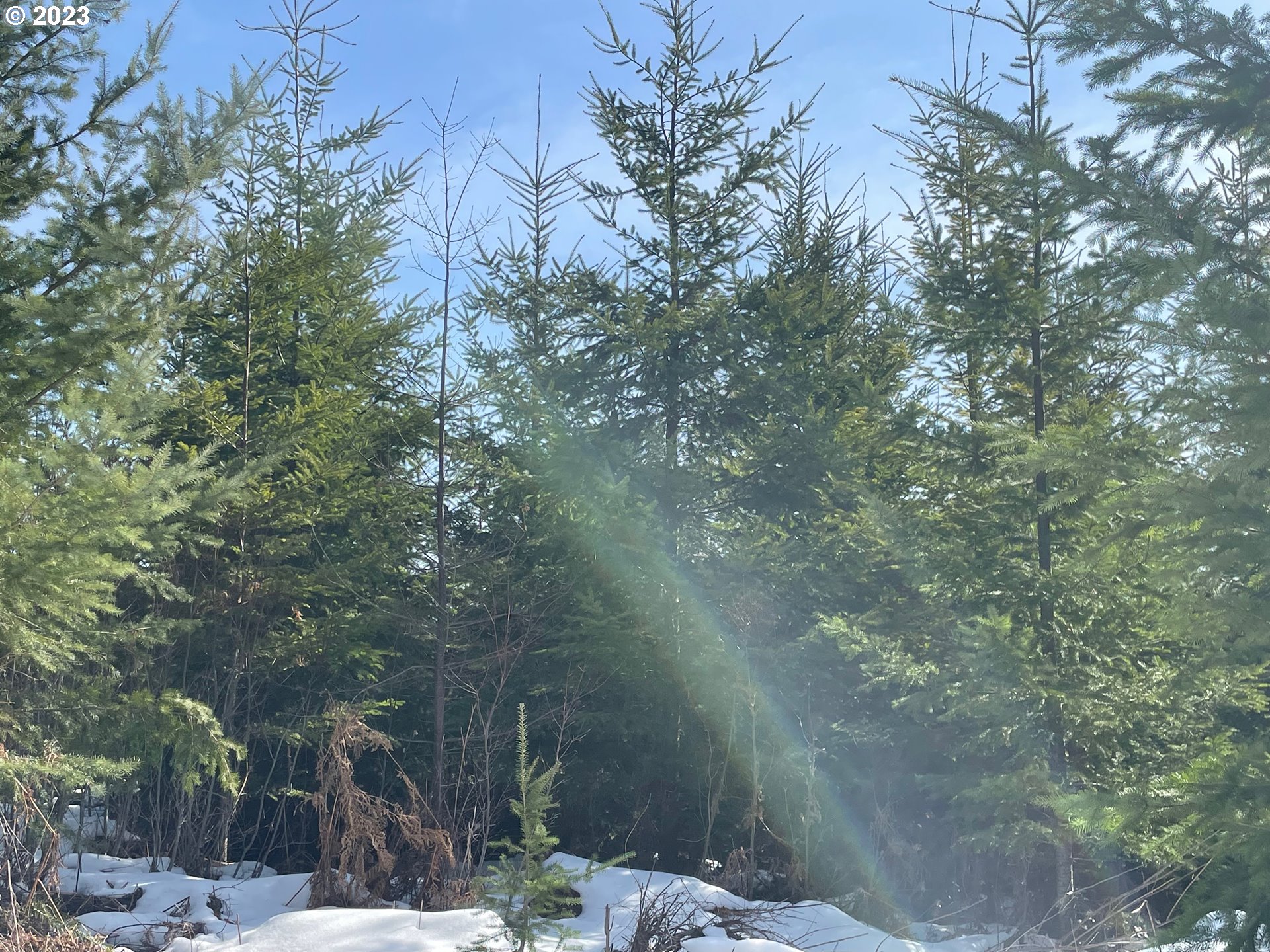 Smoke Ranch Road Scappoose, OR 97056 - Photo 5 of 16