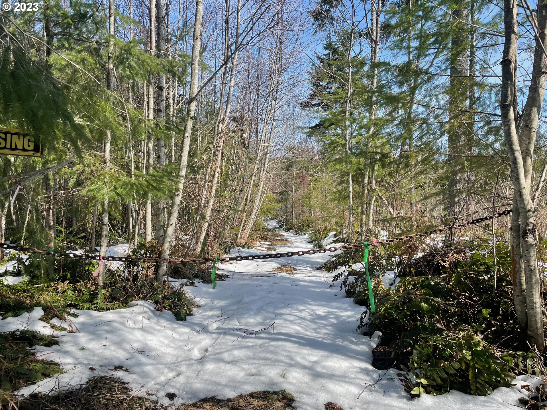 Smoke Ranch Road Scappoose, OR 97056 - Photo 6 of 16