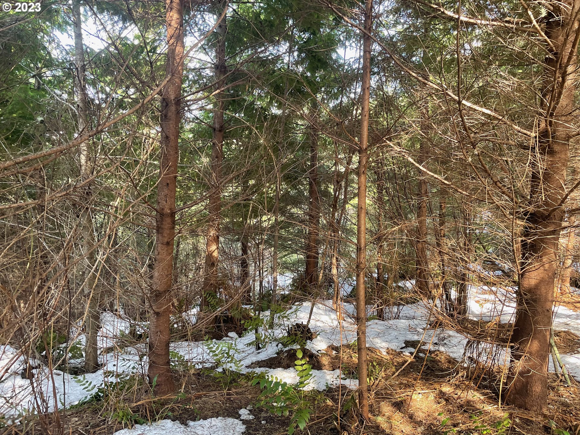 Smoke Ranch Road Scappoose, OR 97056 - Photo 7 of 16