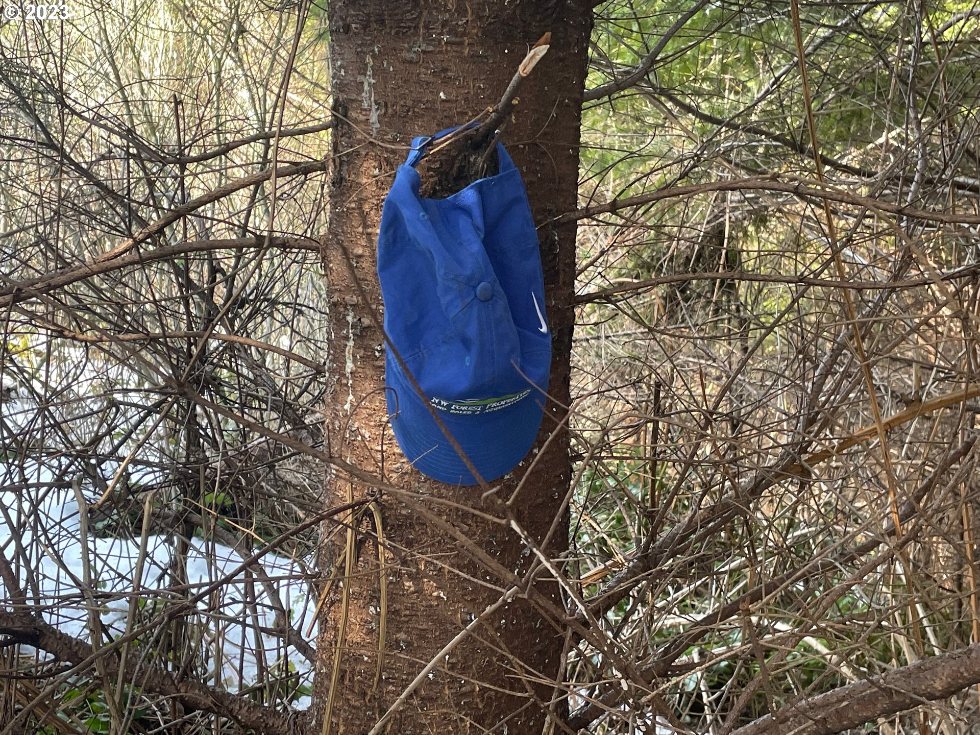 Smoke Ranch Road Scappoose, OR 97056 - Photo 8 of 16