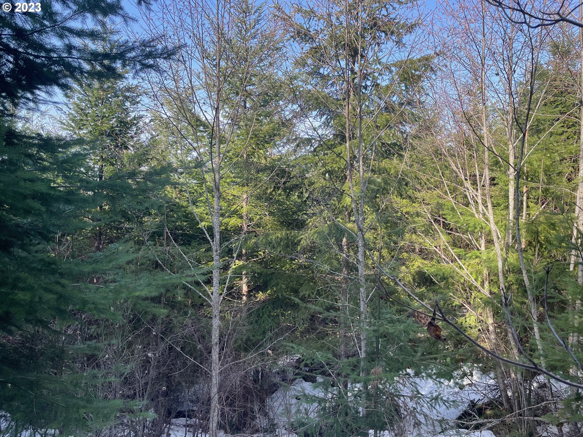 Smoke Ranch Road Scappoose, OR 97056 - Photo 10 of 16