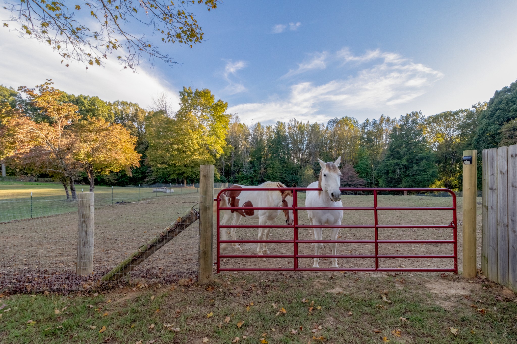 2936 Pace Road Clarksville, TN 37043 - Photo 45 of 52 Gallery Image 45