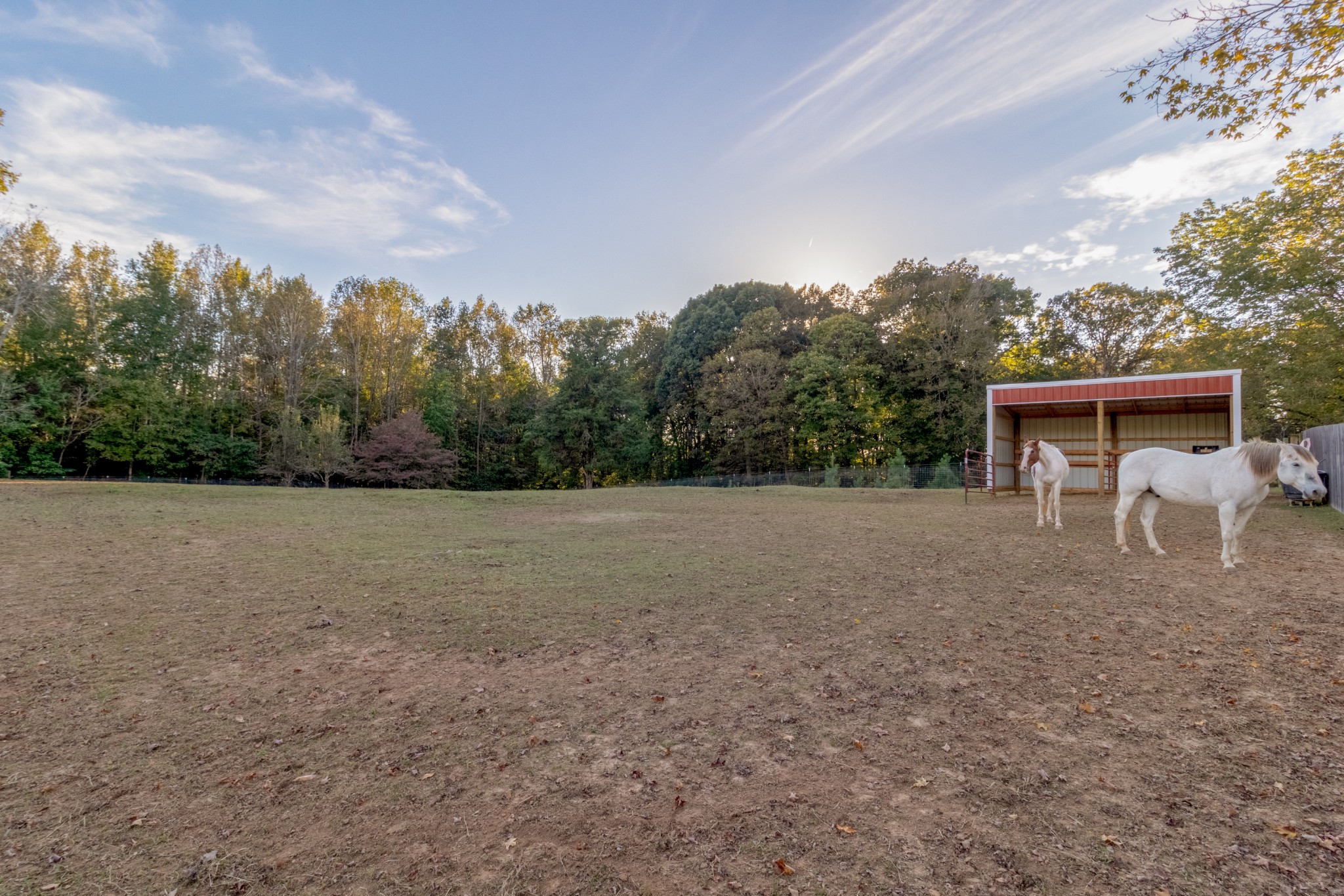 2936 Pace Road Clarksville, TN 37043 - Photo 47 of 52 Gallery Image 47