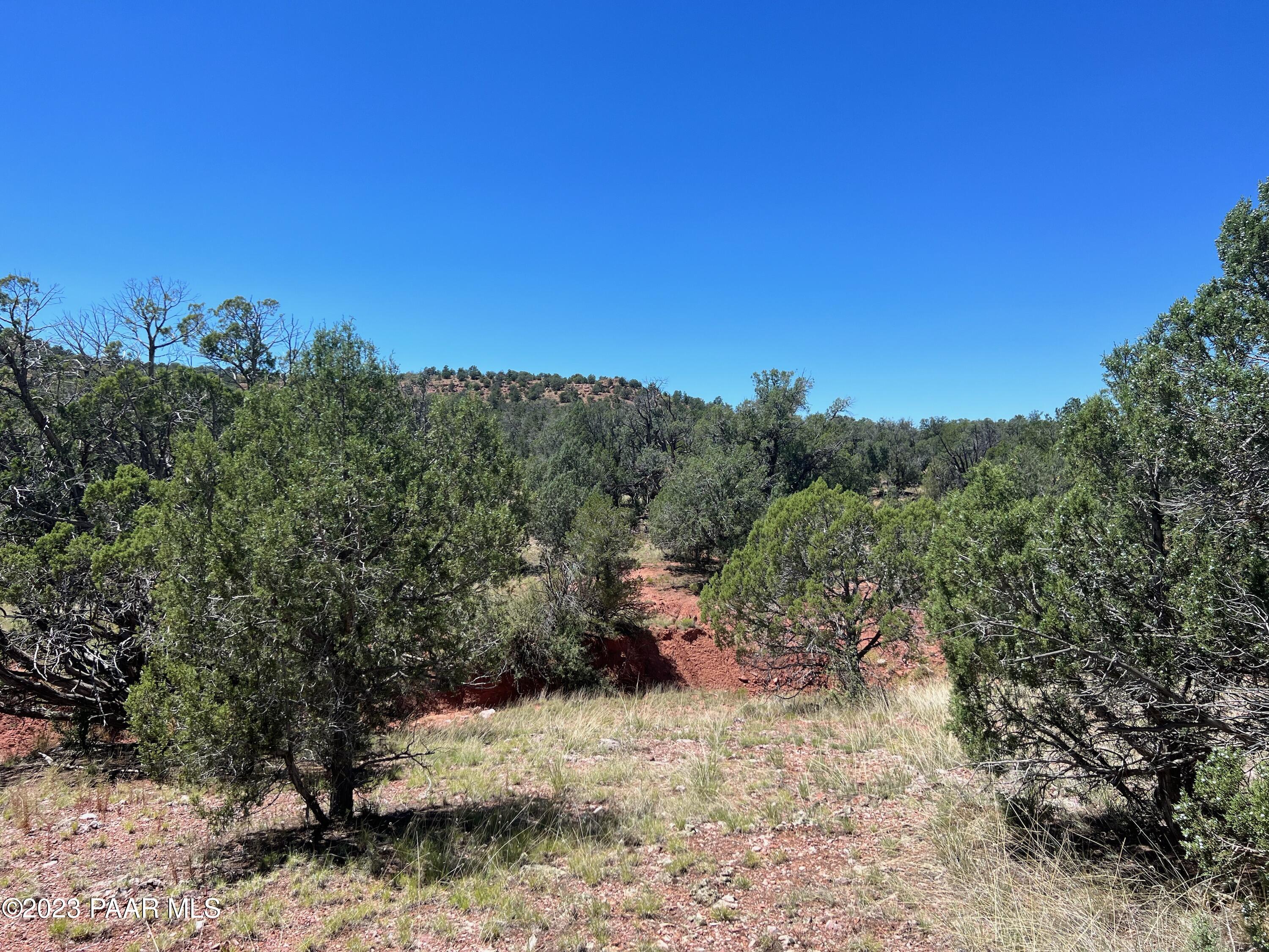 240 Kings Ranch Road Ash Fork, AZ 86320 - Photo 9 of 10 IMG_3672