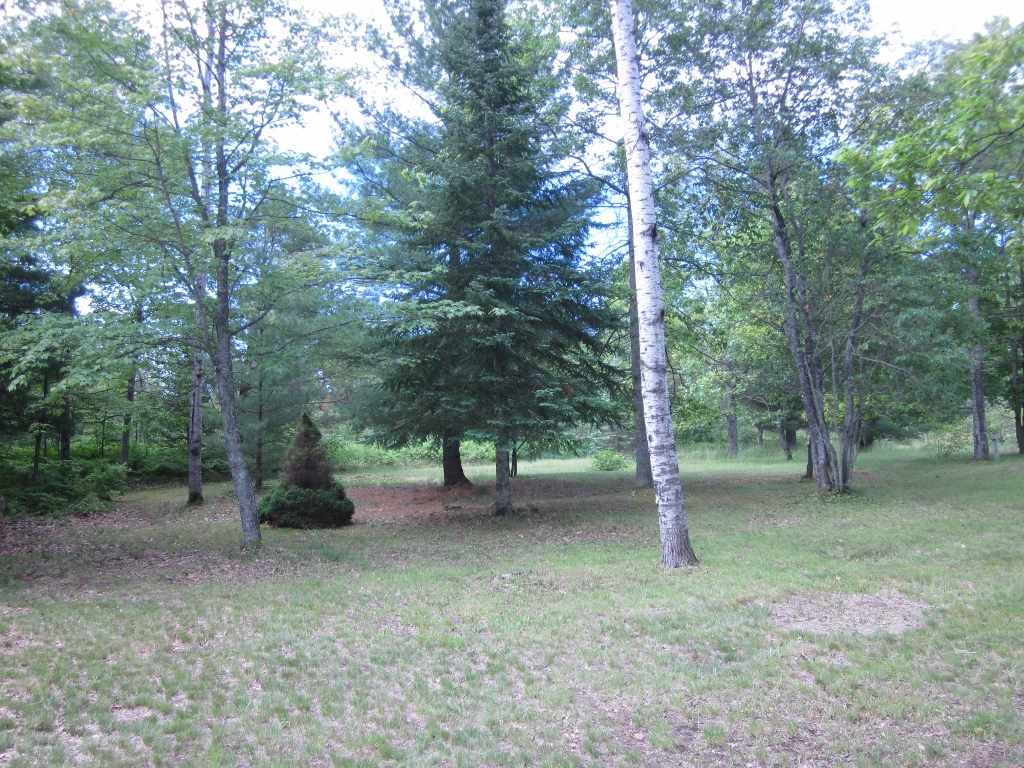 5117 Sunset Trail Road Northeast Kalkaska, MI 49646 - Photo 15 of 35 1829406-14.JPG
