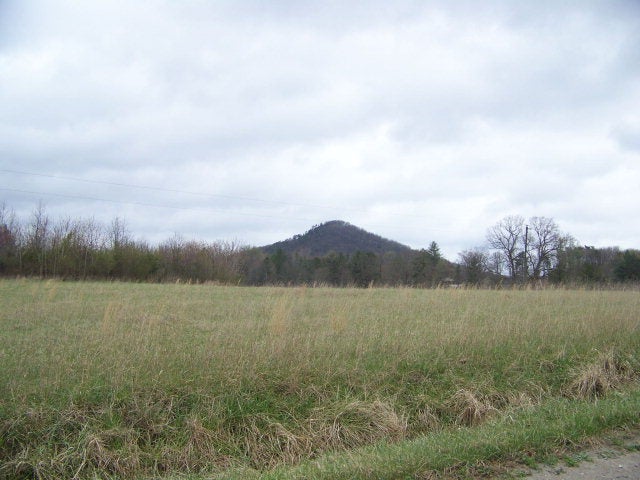 756 Wise Ridge Road Dillwyn, VA 23936 - Photo 1 of 1 Gallery Image 1