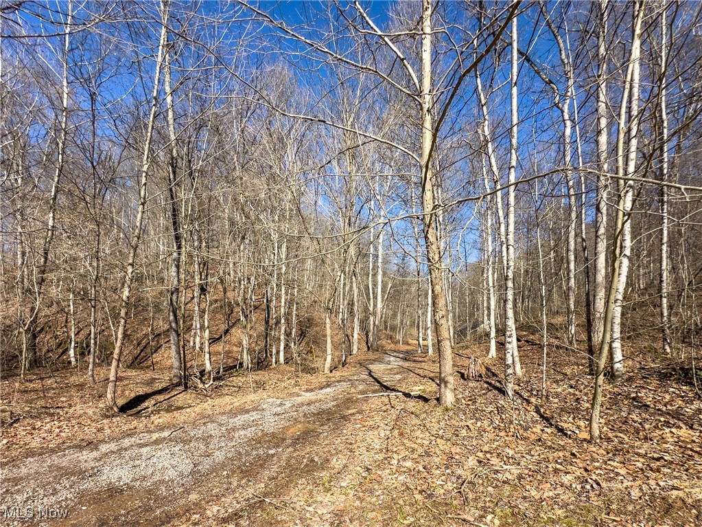 47562 Pratts Run Road Clarington, OH 43915 - Photo 22 of 49 View of landscape