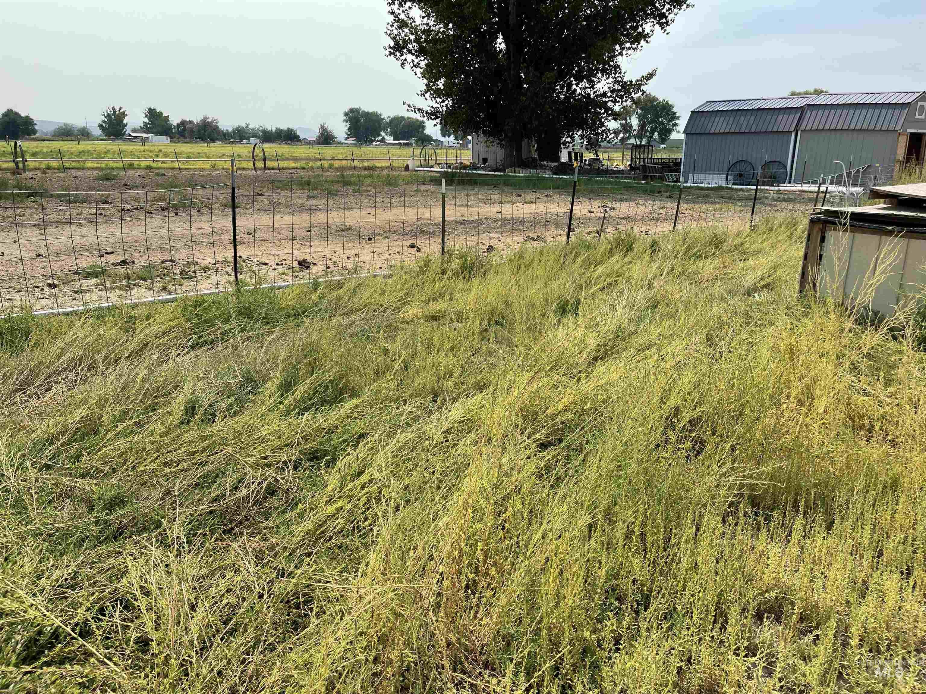 749 Ritter Avenue Vale, OR 97918 - Photo 17 of 28 View of yard featuring a view of countryside and an outbuilding